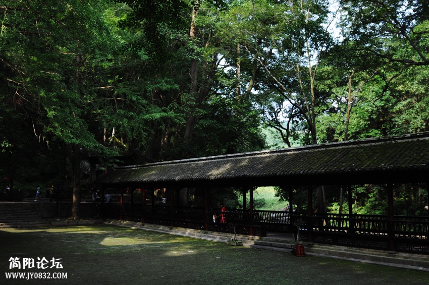 DSC_0009-0.jpg
