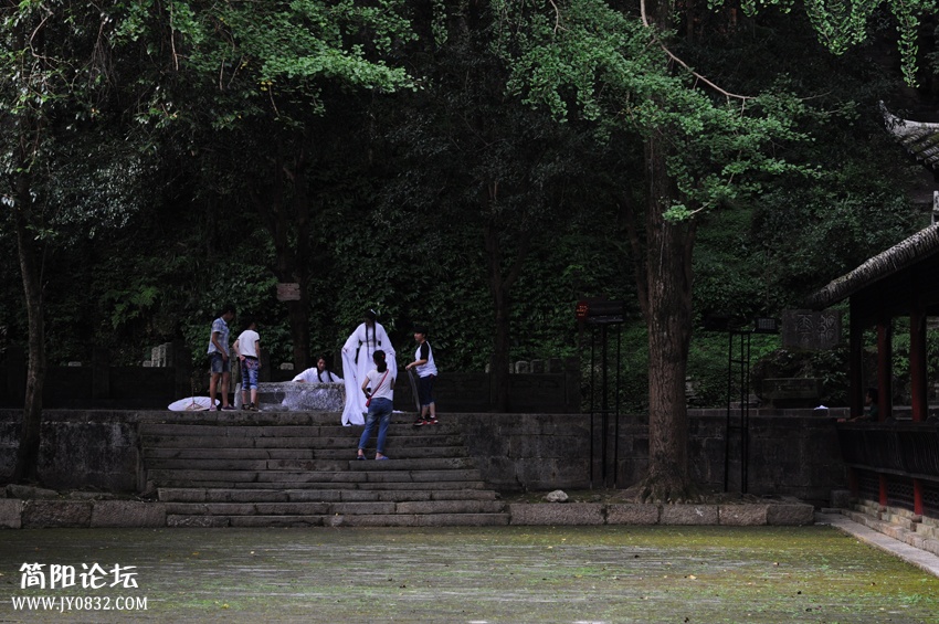 DSC_0031-0.jpg