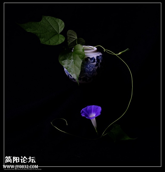IMG_7775a_副本a0.jpg