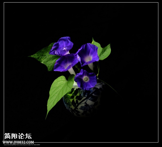 IMG_7827a_副本0.jpg