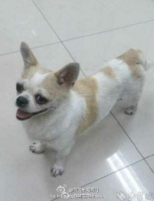 IMG20140825115945.jpg
