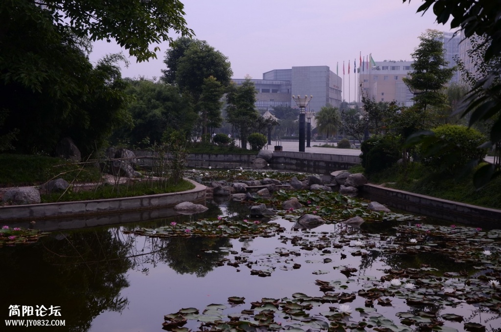 DSC_7455.jpg