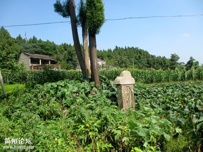 IMG_4496_副本.jpg