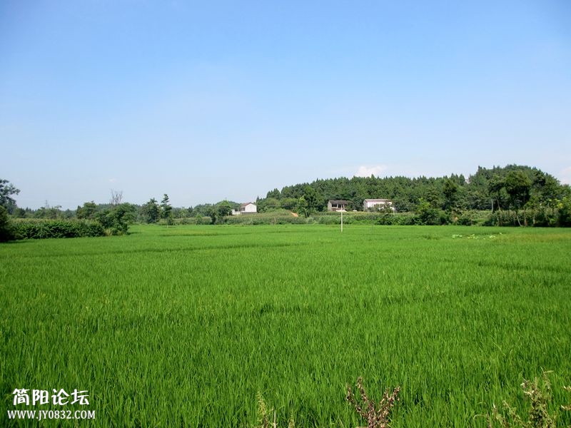 IMG_4498_副本.jpg