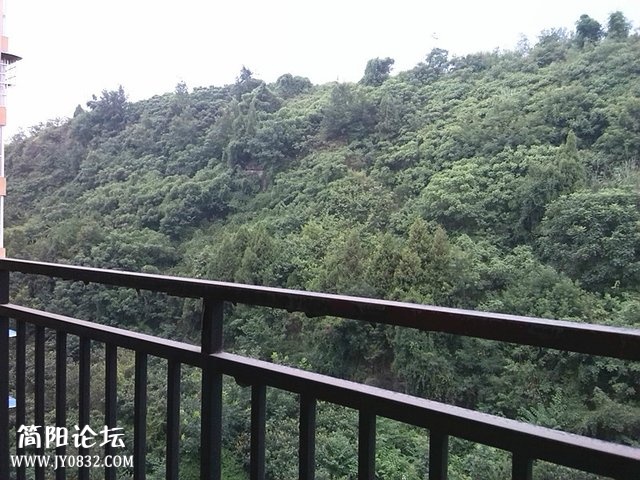 n_s12376357004855310065.jpg