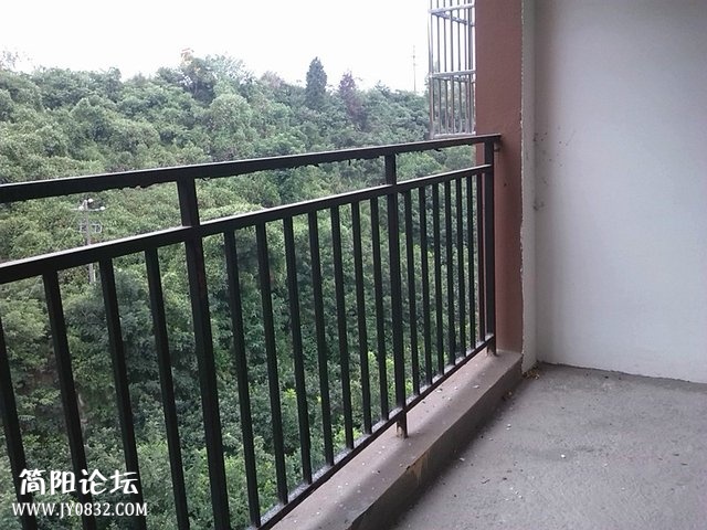 n_s12376357035969103086.jpg