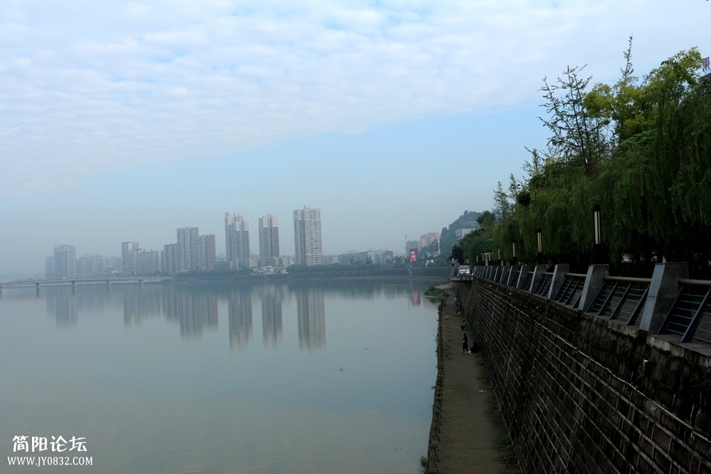 IMG_4529.jpg