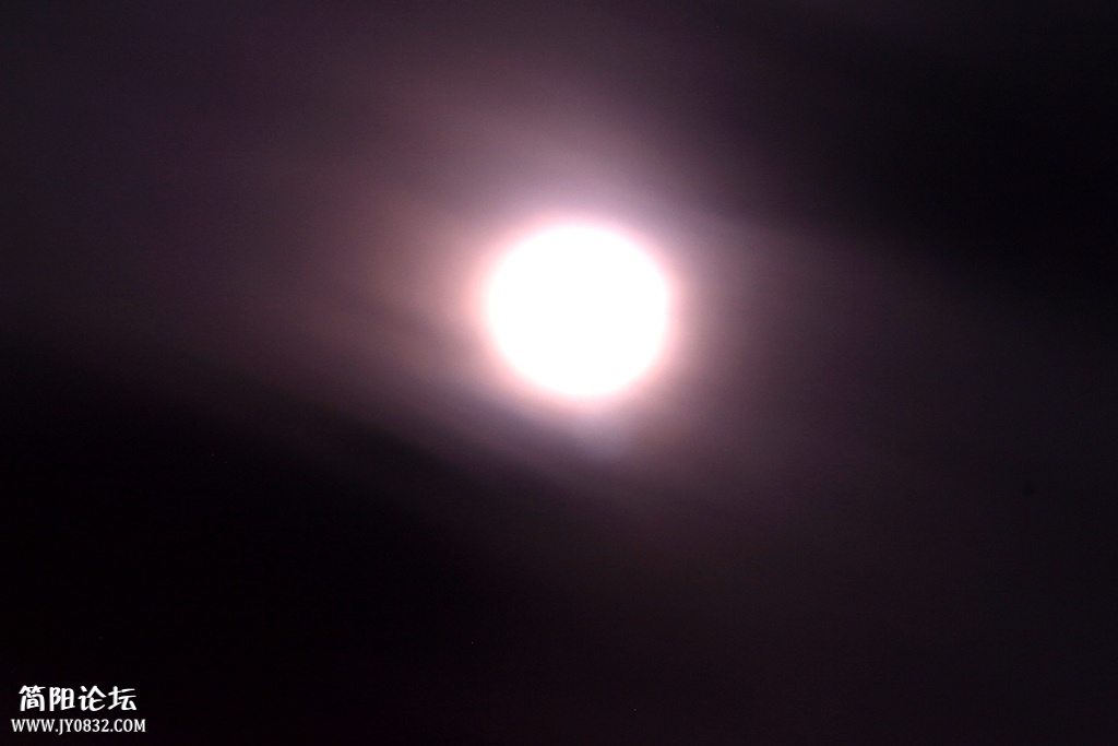 IMG_4559.jpg