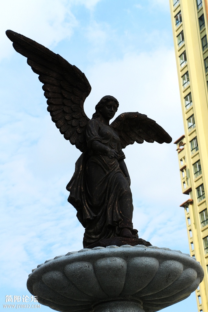 IMG_3875.jpg