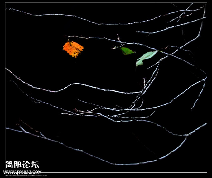 IMG_9451a_副本a0.jpg