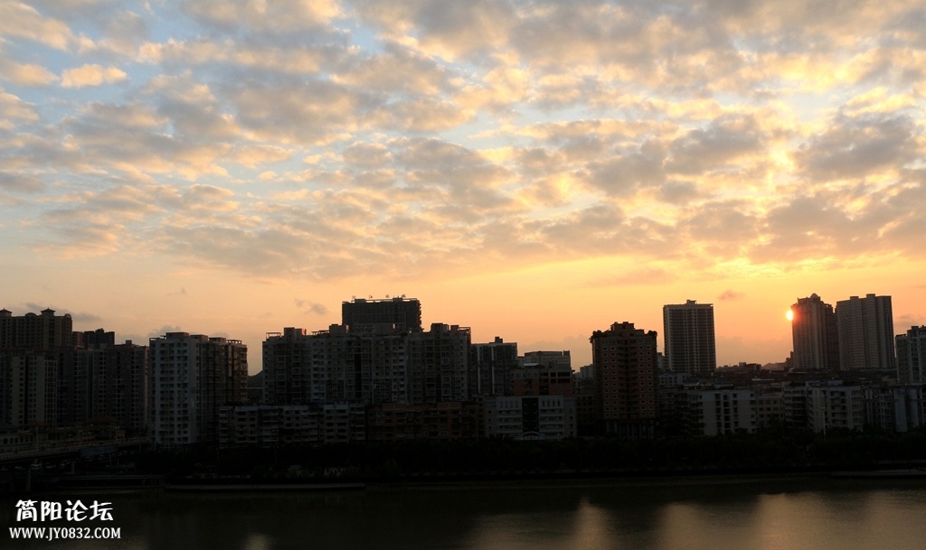 IMG_4575.jpg