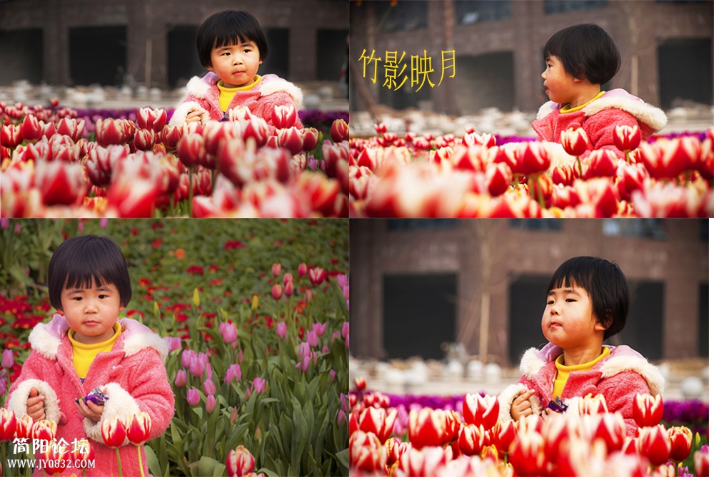 小花儿.jpg
