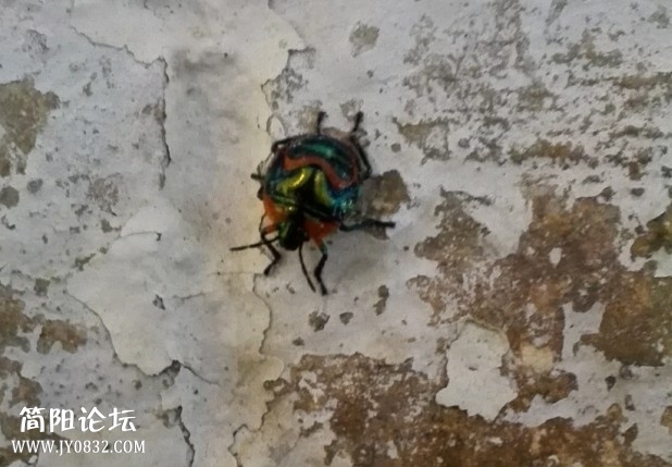 QQ截图20140928142607.jpg