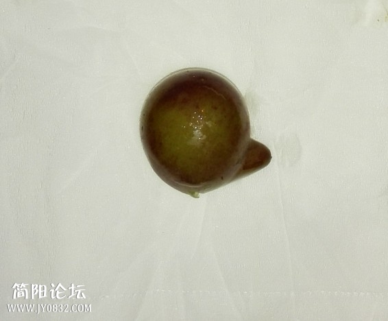 QQ截图20140928143104.jpg