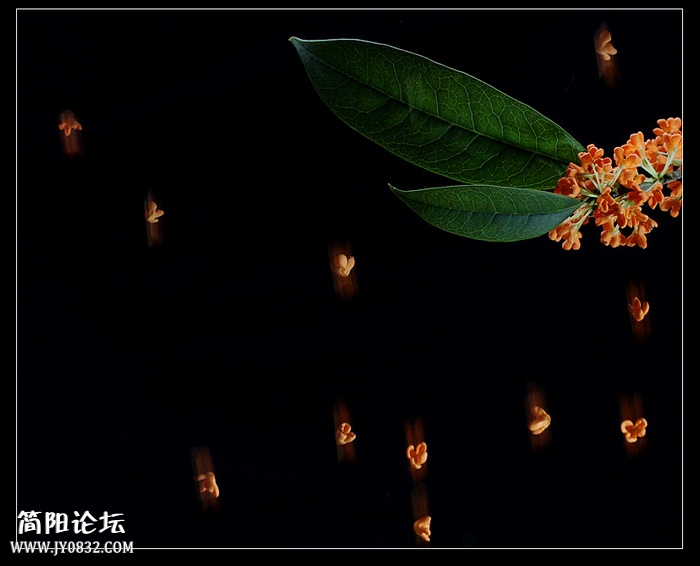 IMG_0956a_副本aa_副本a0.jpg