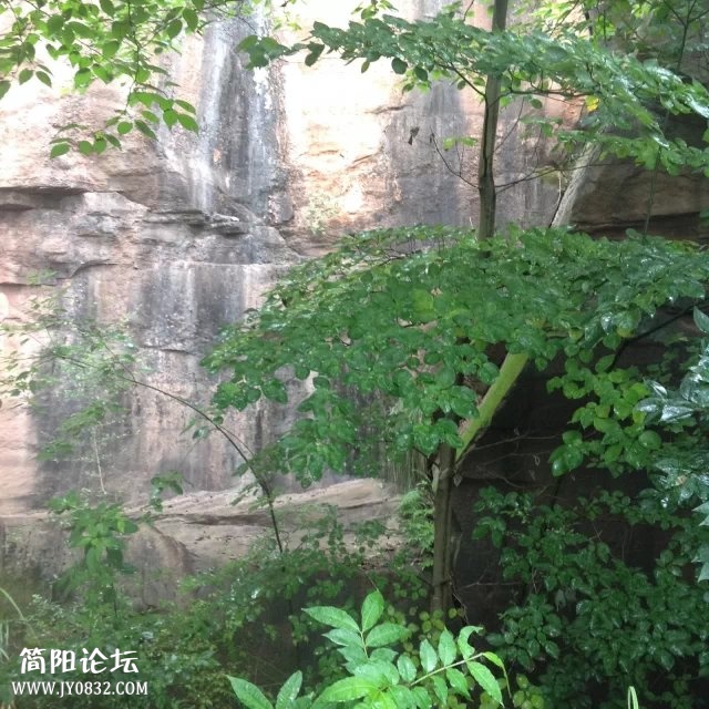173054hq4fmiqgqqx44x4q.jpg