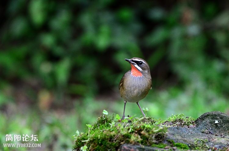 DSC_5676_副本.jpg