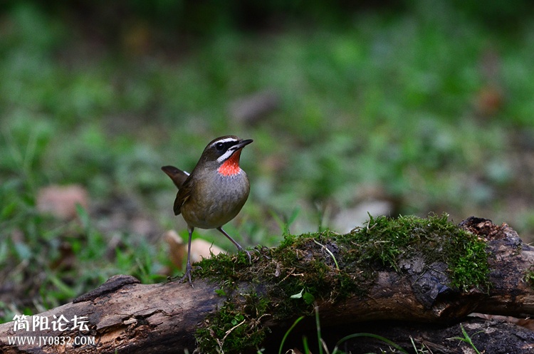 DSC_5723_副本.jpg