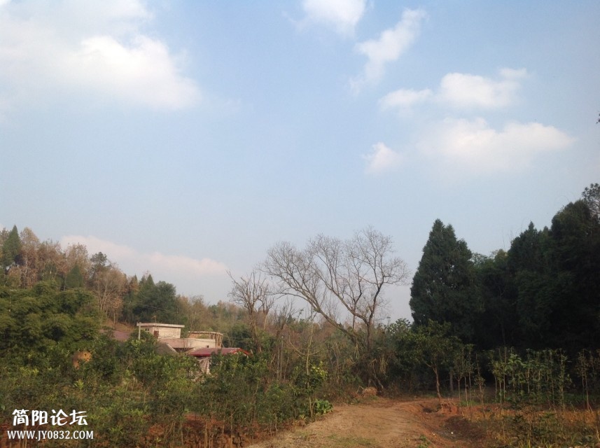 20071119_ef4b22ff17fb43174dbcnxYr8MHYPzPz.jpg