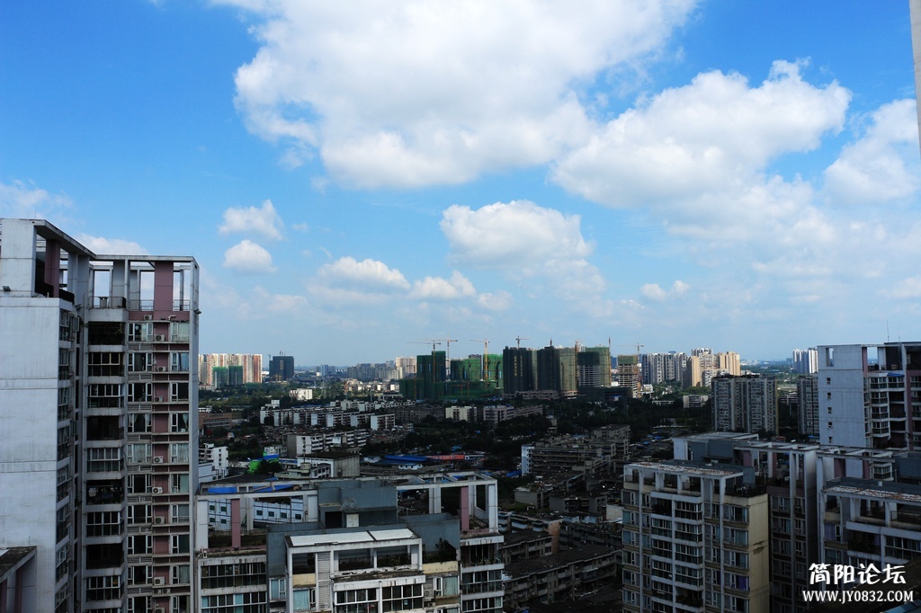 IMG_4902.jpg