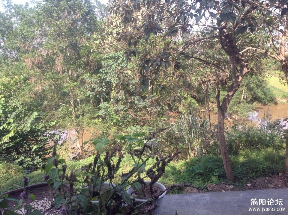09051111141781080.jpg