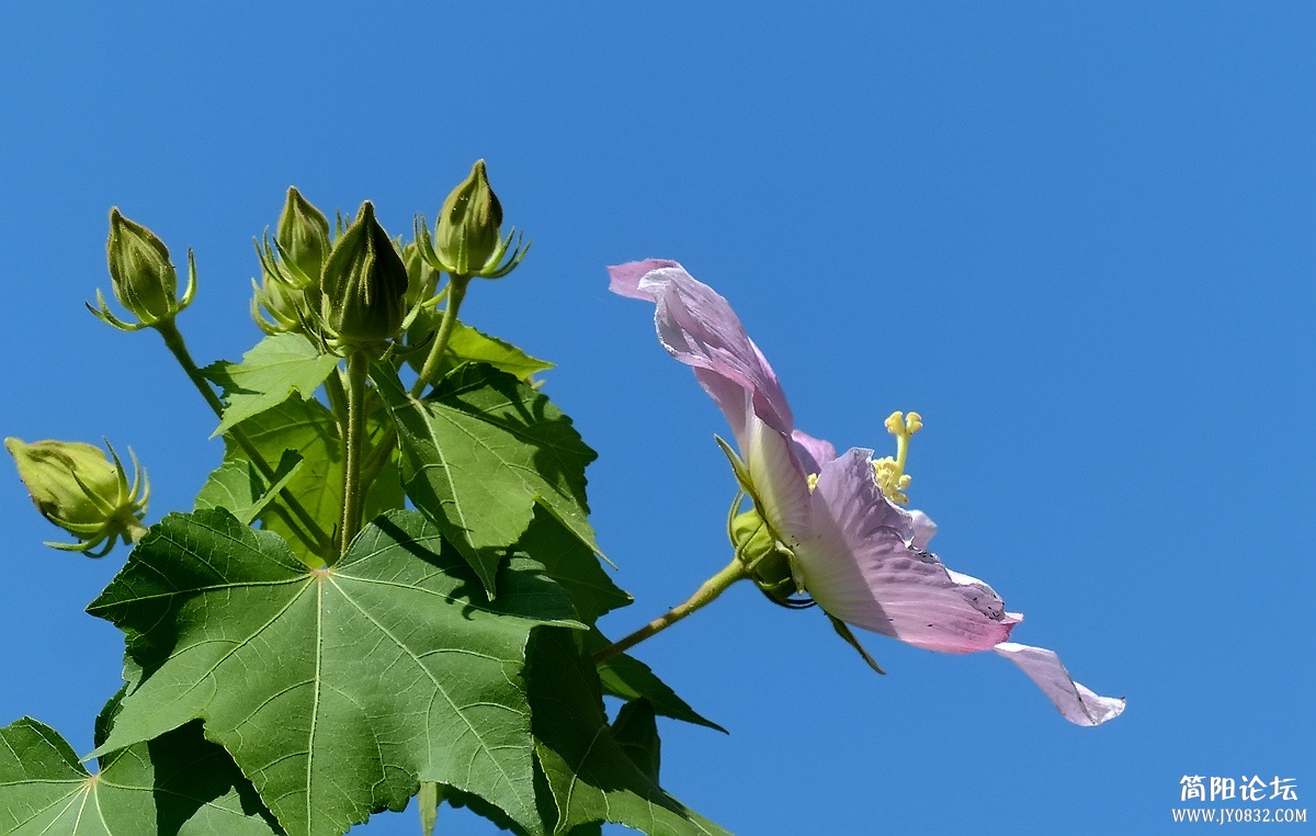 P1500317_副本.jpg1.jpg