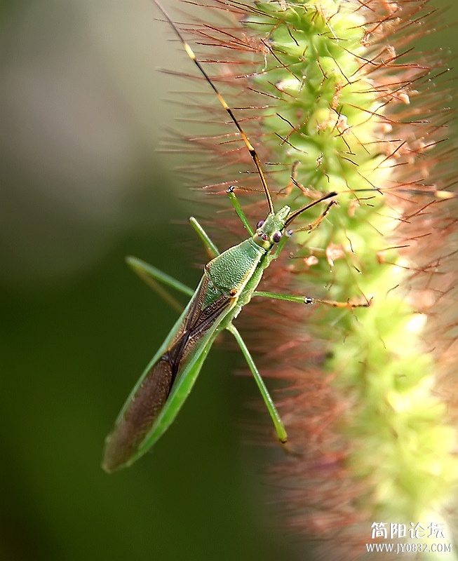 IMG_7555_副本.jpg