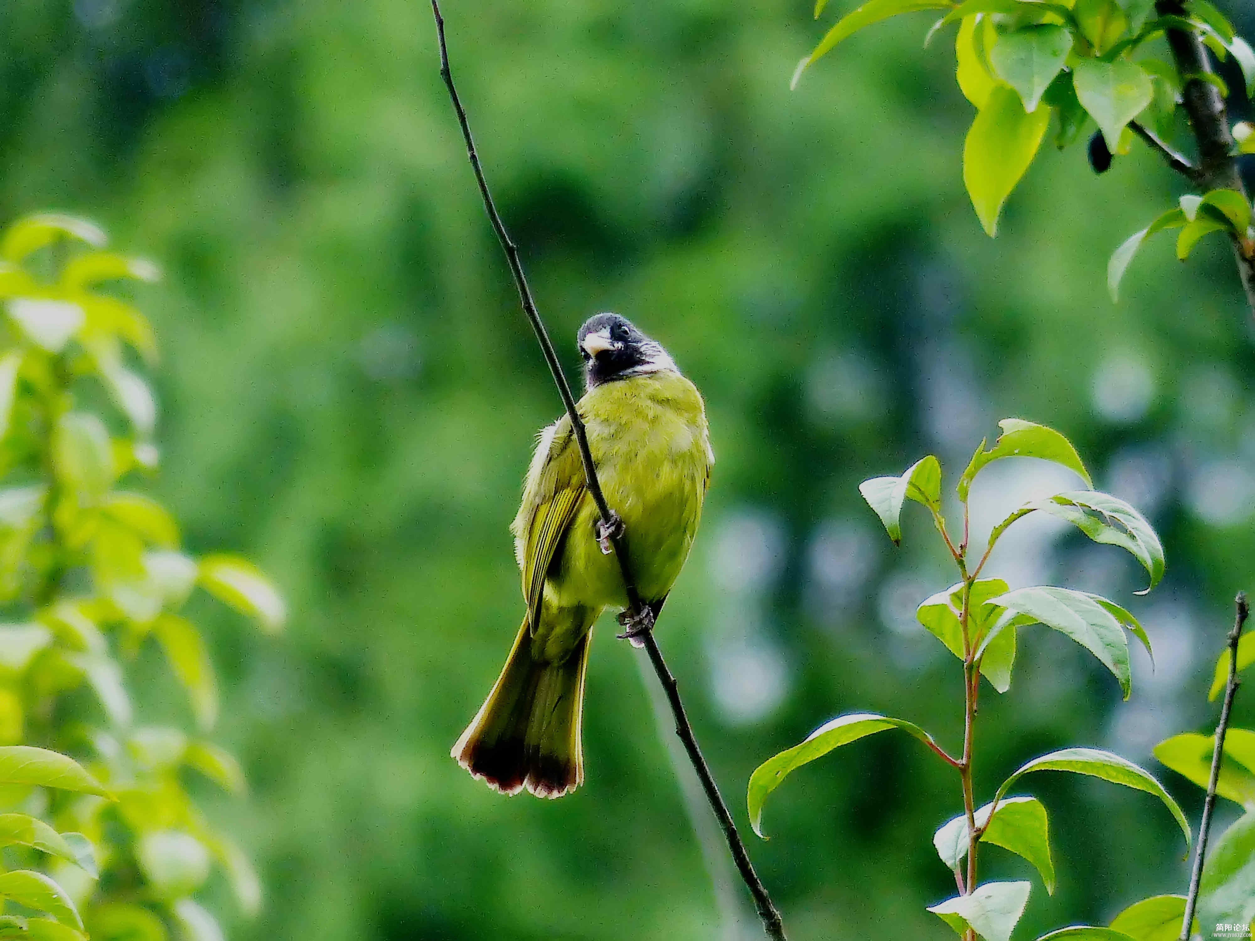 P1000655_副本.jpg1.jpg