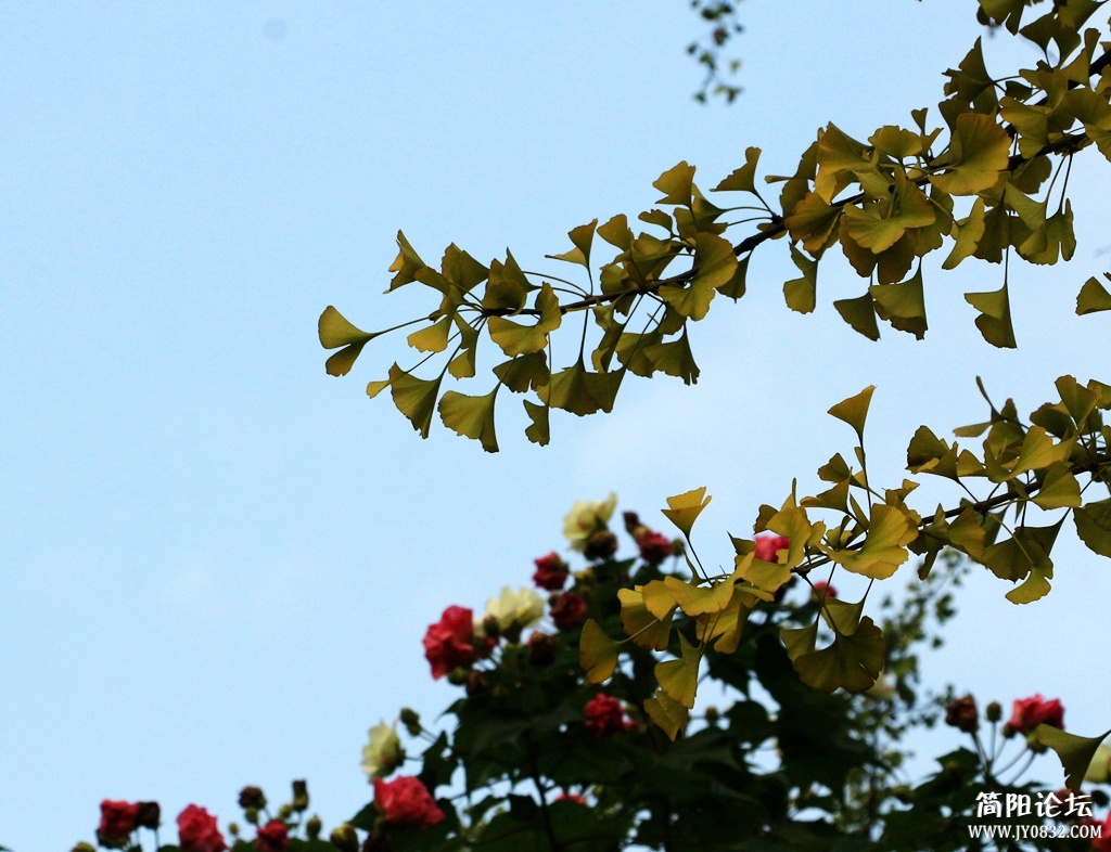IMG_5162.jpg