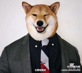 IMG20141024005433.jpg