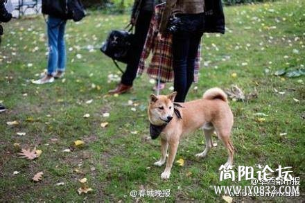 IMG20141024005439.jpg