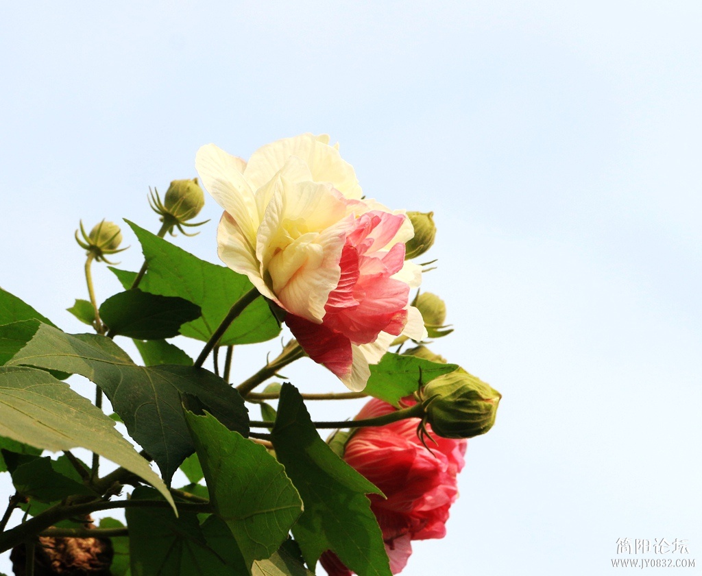 IMG_5179.jpg