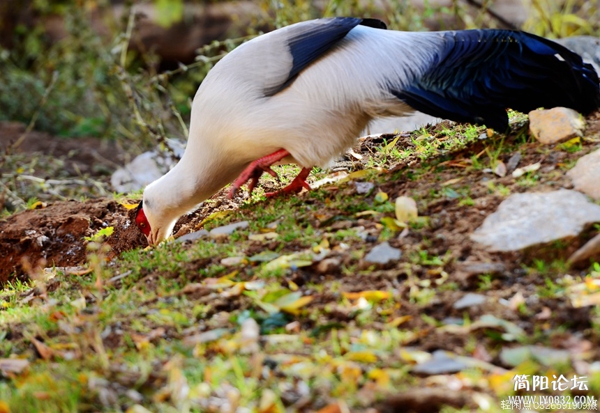 DSC_6479.jpg