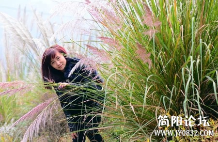 IMG20141102141316.jpg