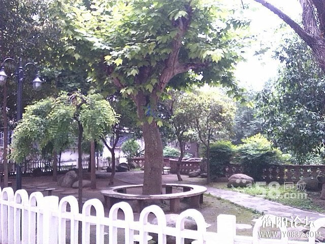 n_s12250276933553228095.jpg