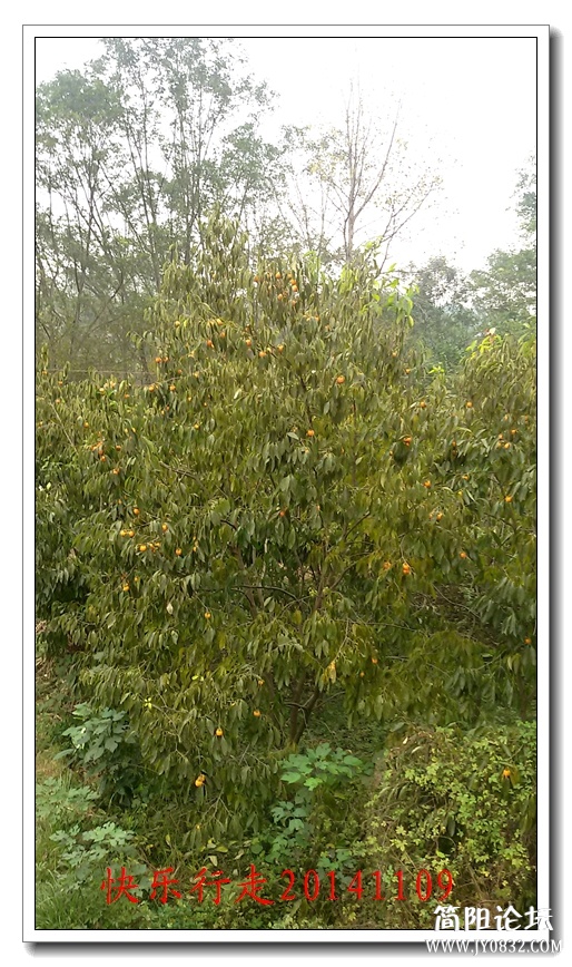20141109_140339.jpg