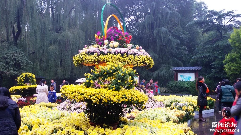 2014-11-0906.jpg