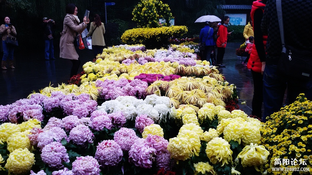 2014-11-0909.jpg
