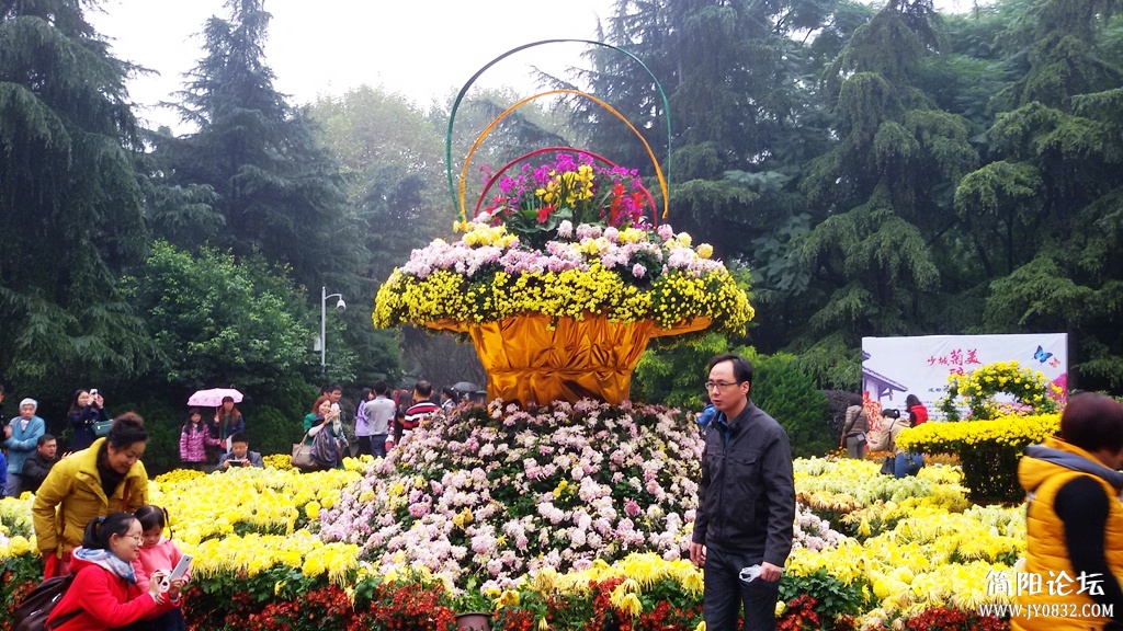 2014-11-0910.jpg
