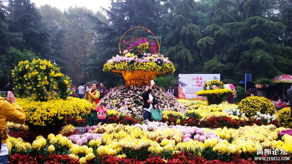 2014-11-0912.jpg