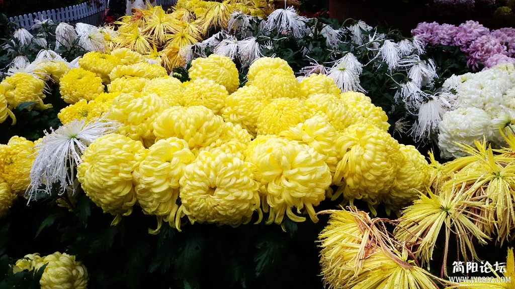 2014-11-0913.jpg