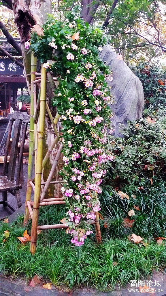 2014-11-0916.jpg