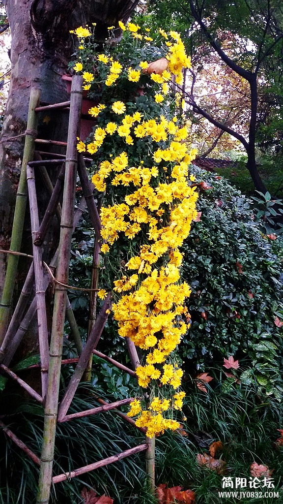 2014-11-0917.jpg