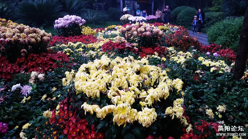 2014-11-0921.jpg