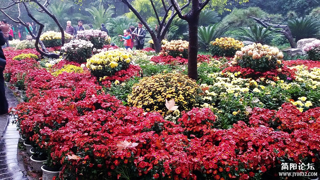 2014-11-0920.jpg