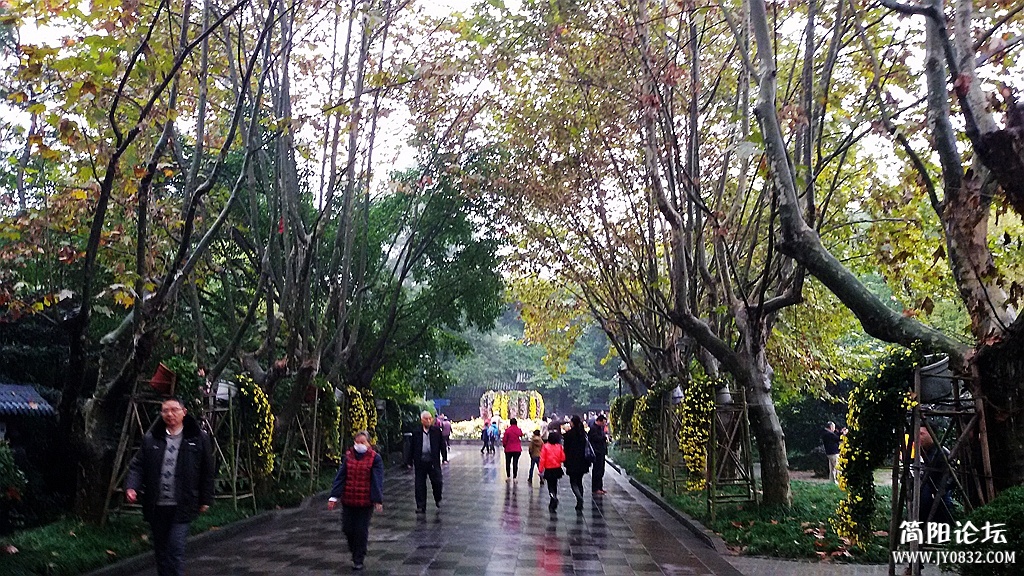 2014-11-0919.jpg