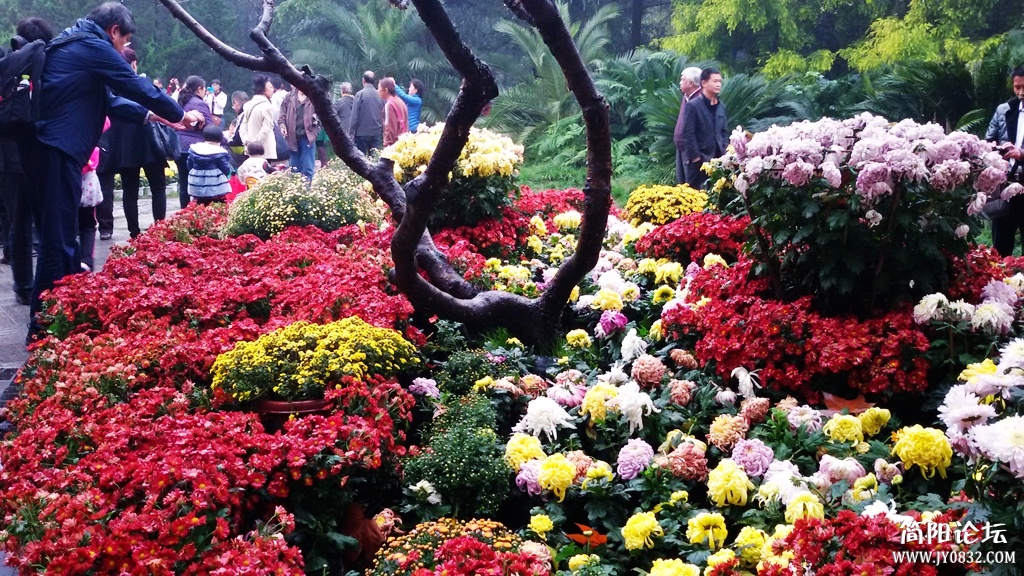 2014-11-0923.jpg