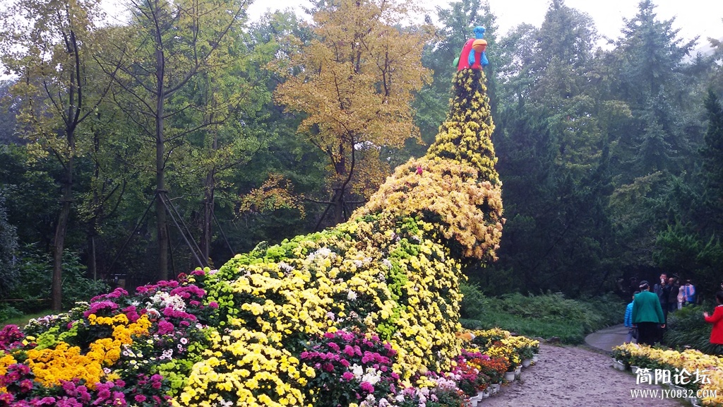 2014-11-0925.jpg