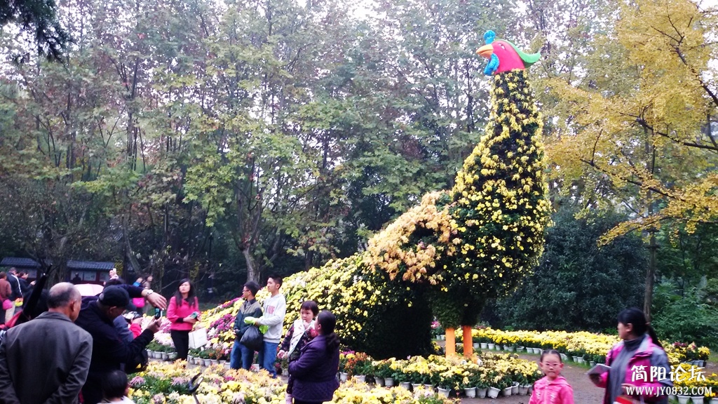 2014-11-0926.jpg