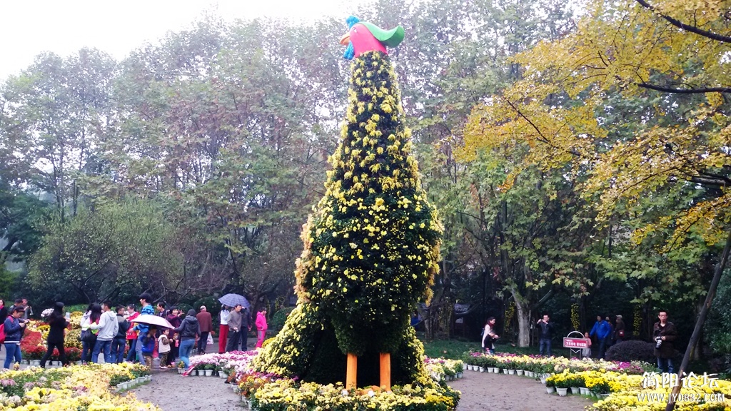 2014-11-0927.jpg